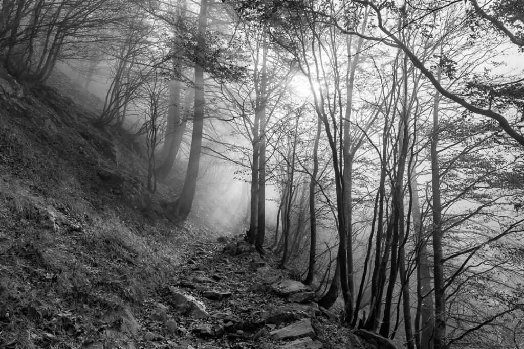 dscf2354 dxo deepprime 3